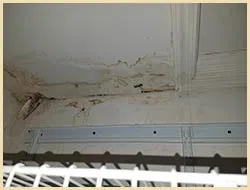 Lake Worth Restoration Company Lake Worth, FL 561-342-1965 Lake Worth Restoration Company Lake Worth, FL 561-342-1965 - about-section-01