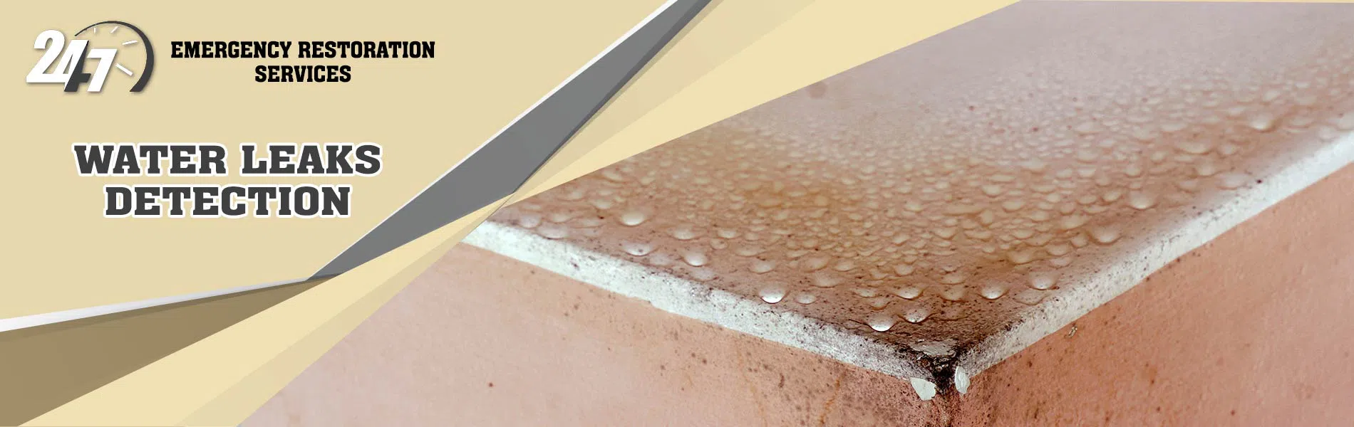 #bslide1 logo-image - banner-01