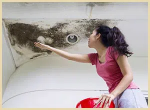 Lake Worth Restoration Company Lake Worth, FL 561-342-1965 Lake Worth Restoration Company Lake Worth, FL 561-342-1965 - home