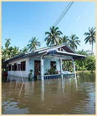 Lake Worth Restoration Company Lake Worth, FL 561-342-1965 Lake Worth Restoration Company Lake Worth, FL 561-342-1965 - sb-services-01